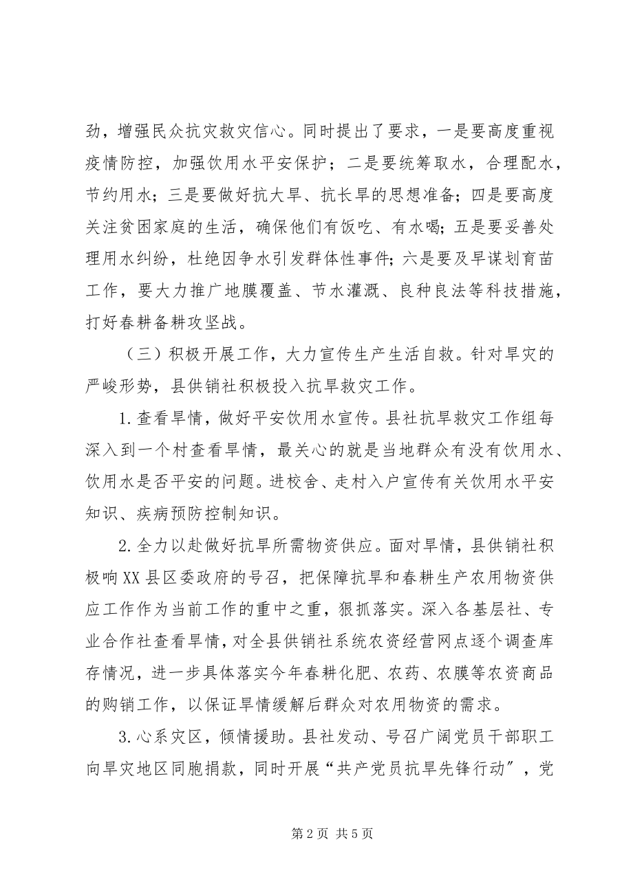 2023年供销社抗旱救灾工作总结.docx_第2页