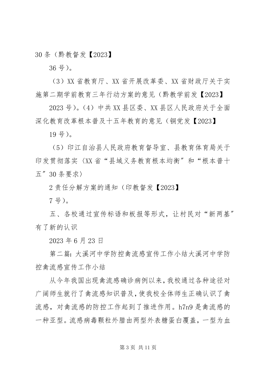 2023年板溪学点“新两基”学习宣传小结新编.docx_第3页