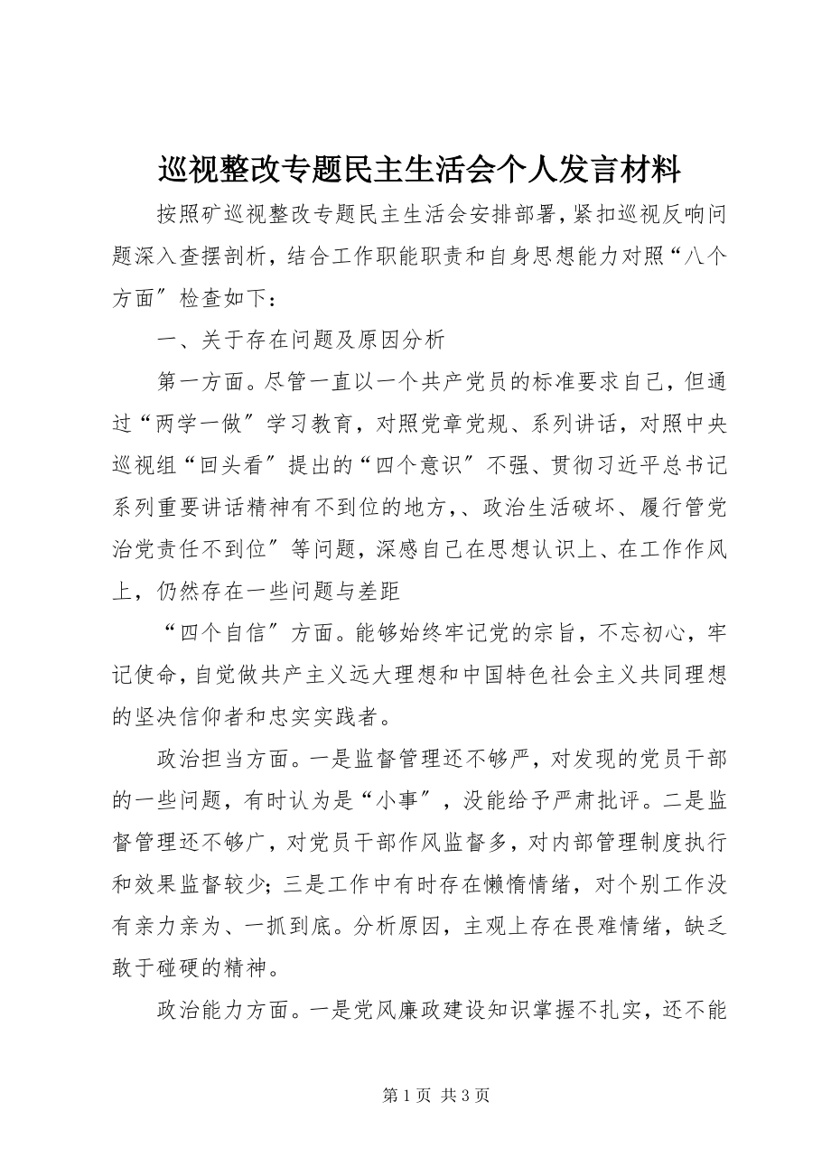 2023年巡视整改专题民主生活会个人讲话材料.docx_第1页