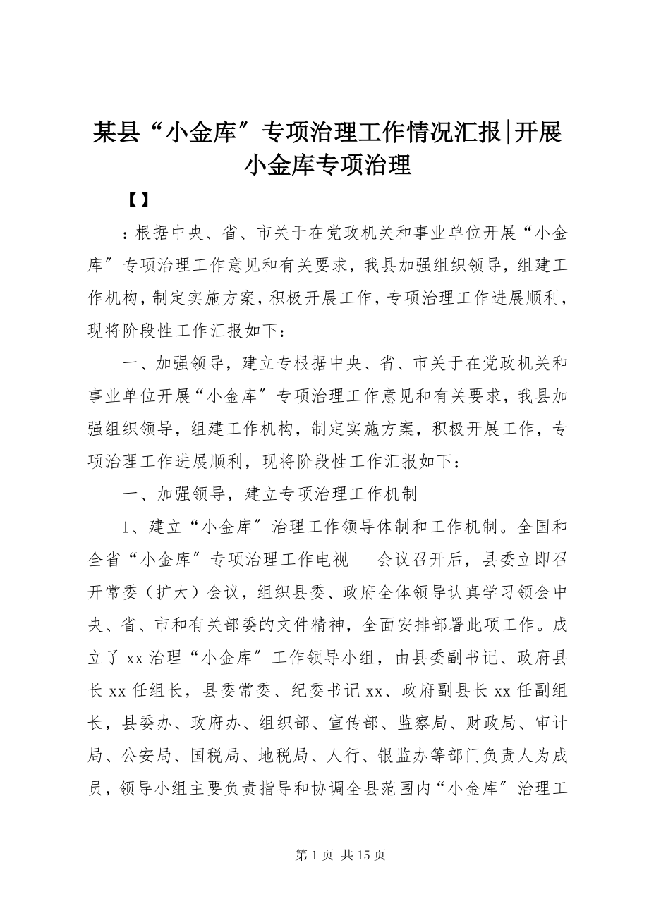 2023年xx县“小金库”专项治理工作情况汇报开展小金库专项治理.docx_第1页