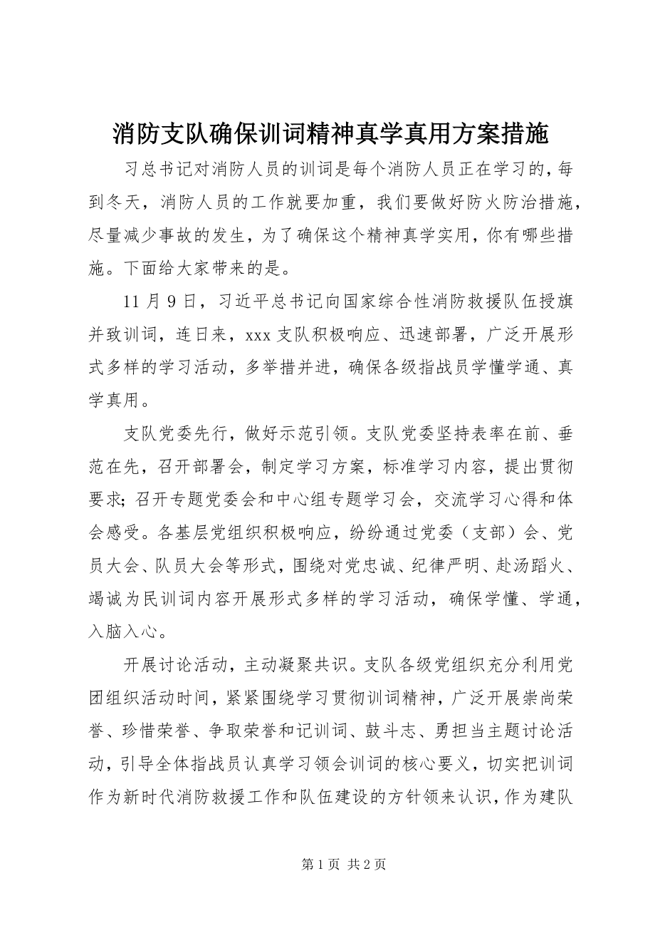 2023年消防支队确保训词精神真学真用方案措施.docx_第1页