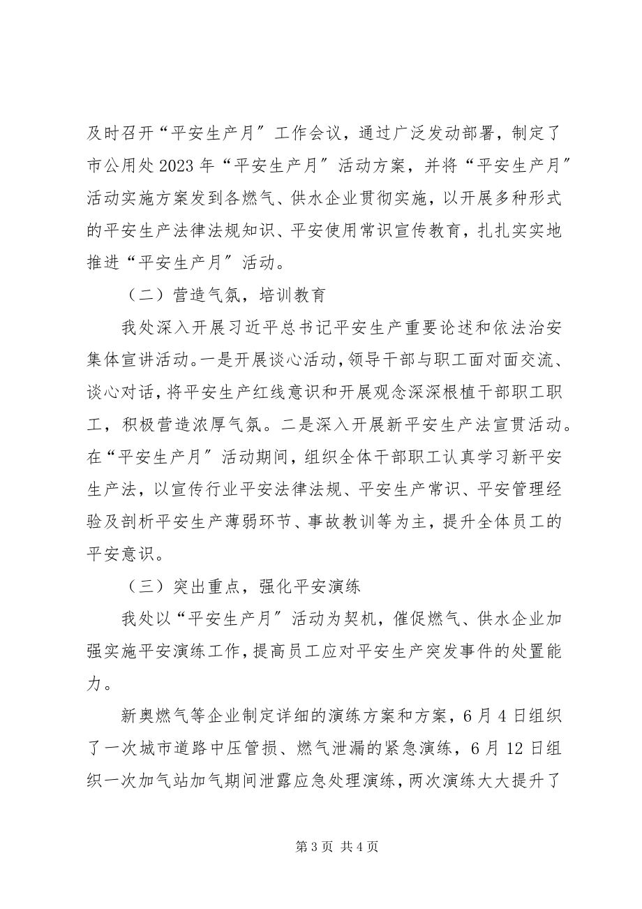 2023年某管理处安全生产工作总结材料.docx_第3页