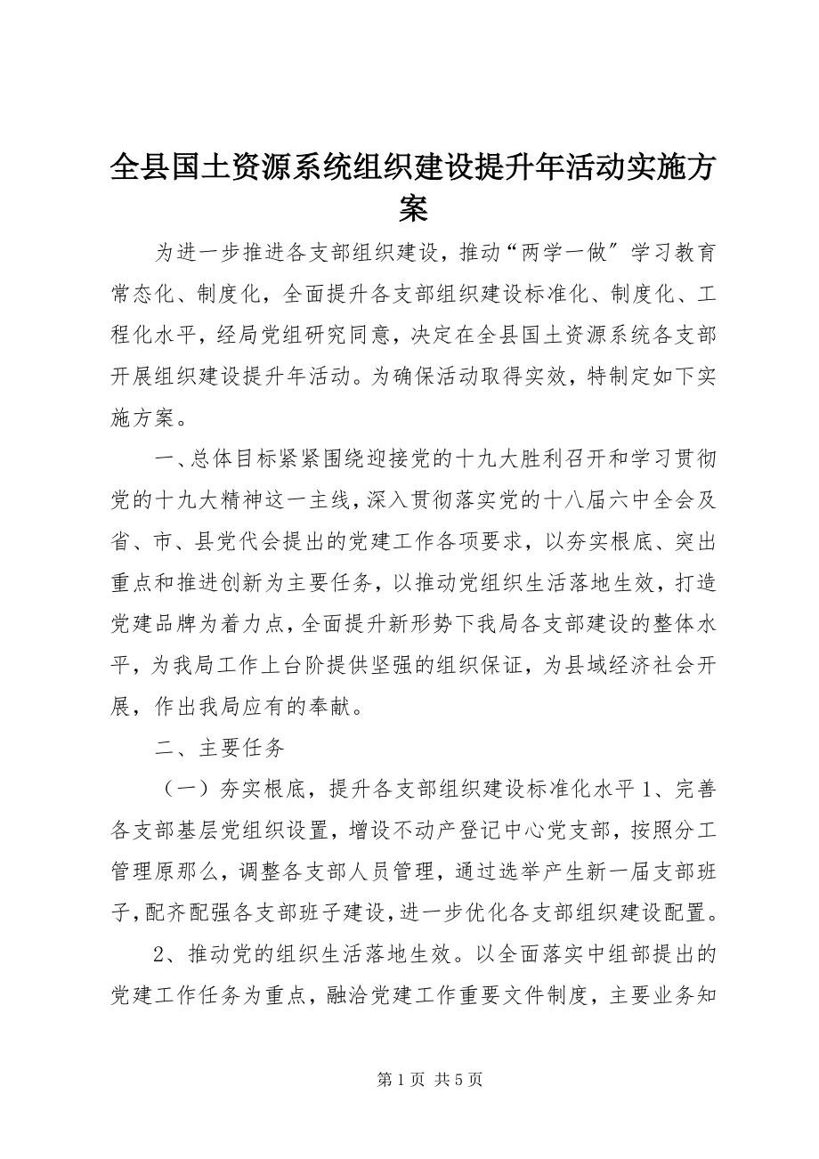 2023年全县国土资源系统组织建设提升年活动实施方案.docx_第1页