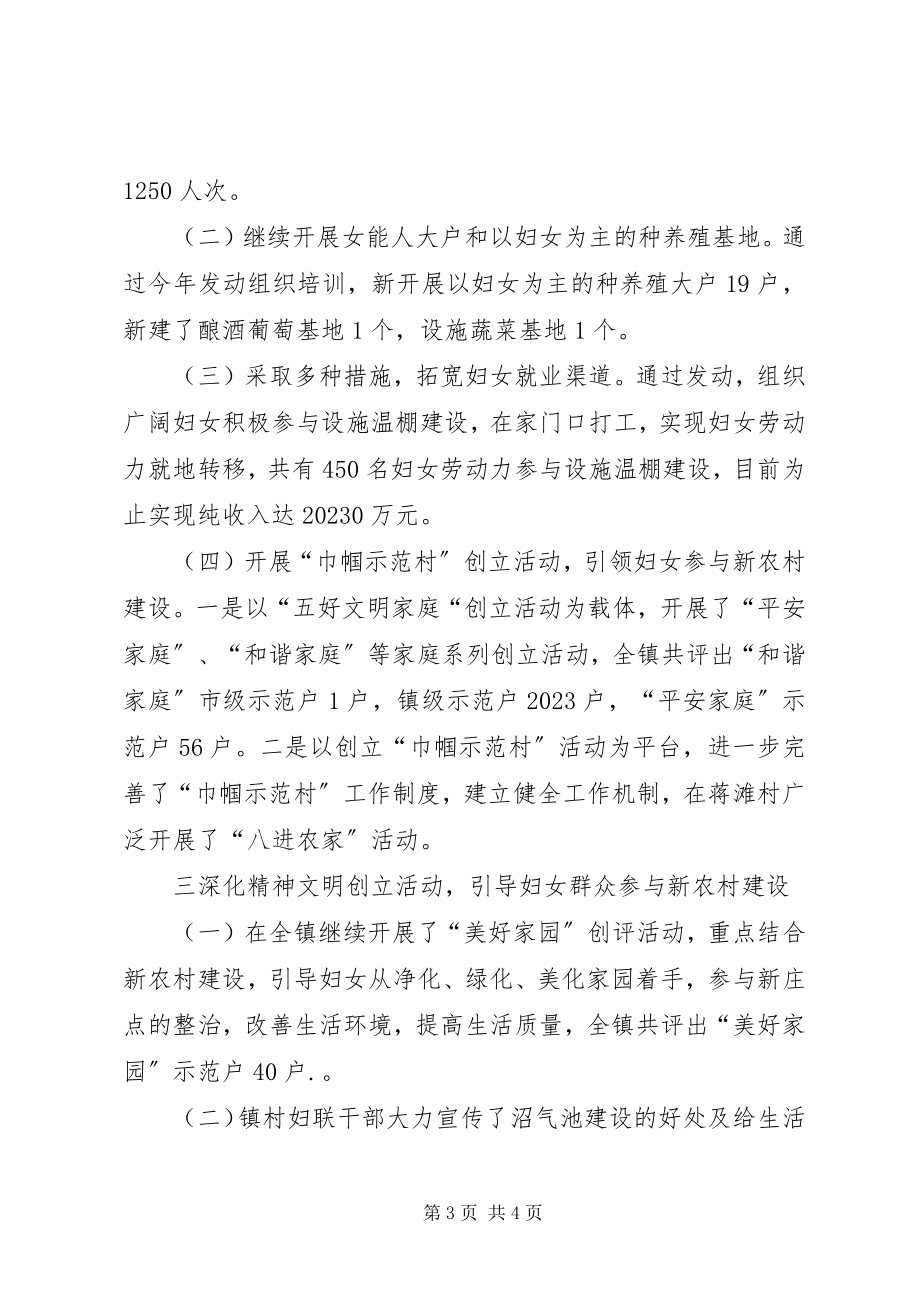 2023年乡镇妇联个人年终工作总结.docx_第3页