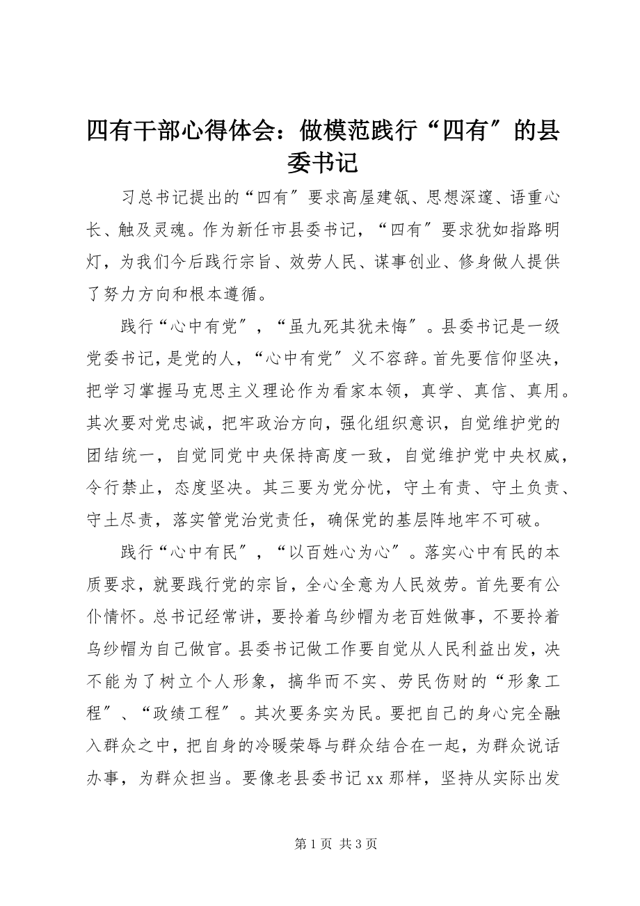 2023年四有干部心得体会做模范践行“四有”的县委书记.docx_第1页