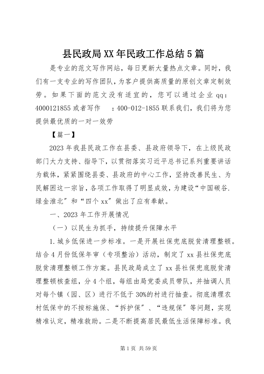 2023年县民政局民政工作总结5篇.docx_第1页