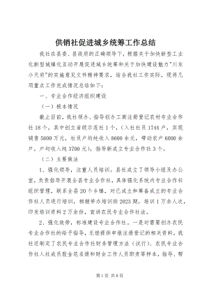 2023年供销社促进城乡统筹工作总结.docx