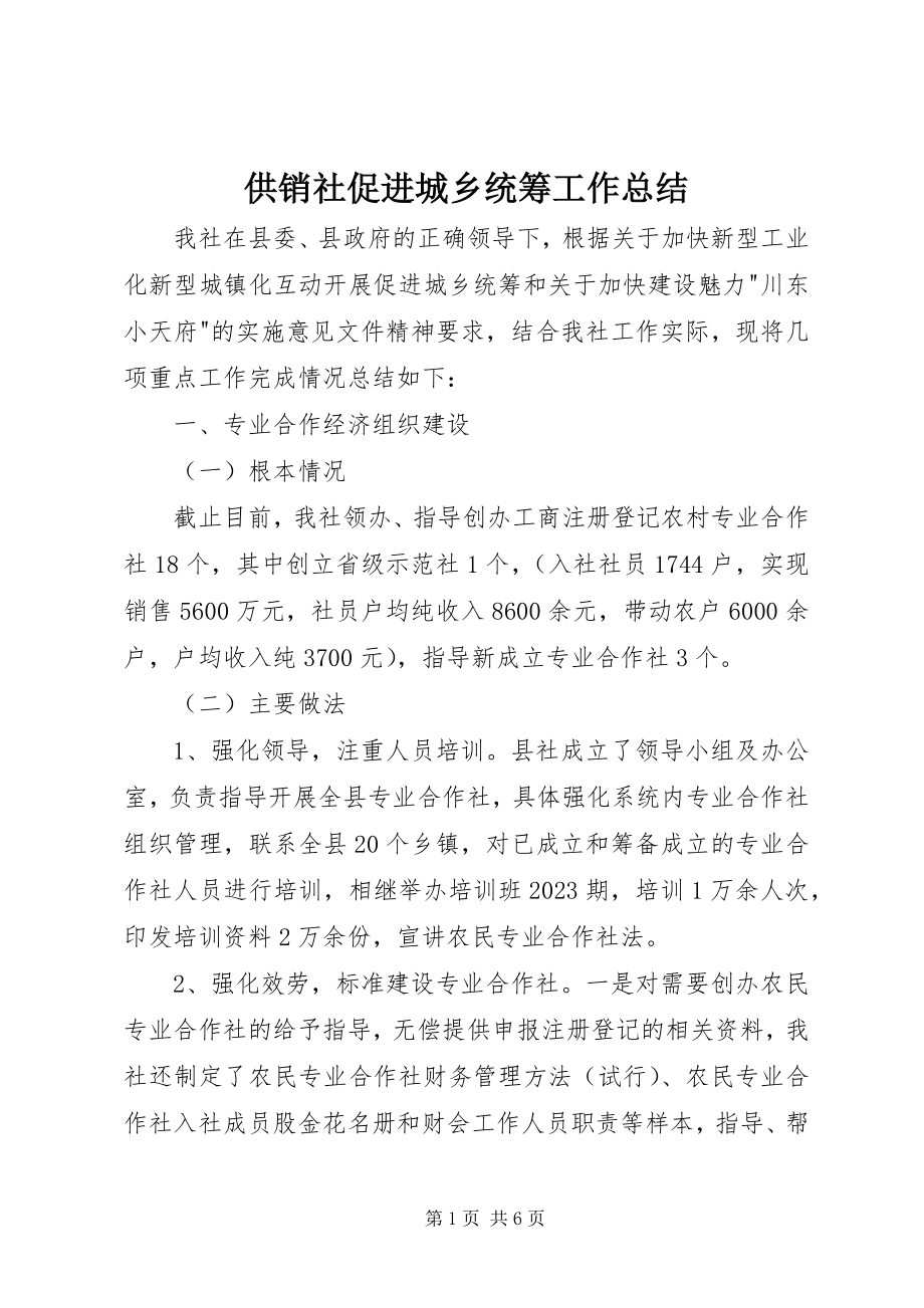 2023年供销社促进城乡统筹工作总结.docx_第1页