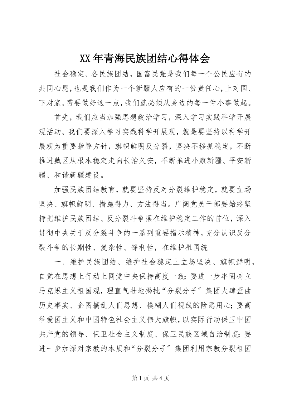 2023年青海民族团结心得体会.docx_第1页