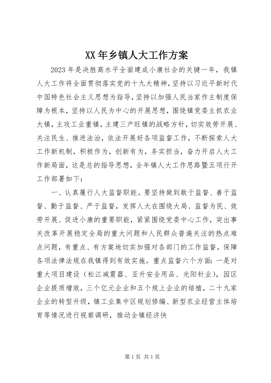 2023年乡镇人大工作计划.docx_第1页