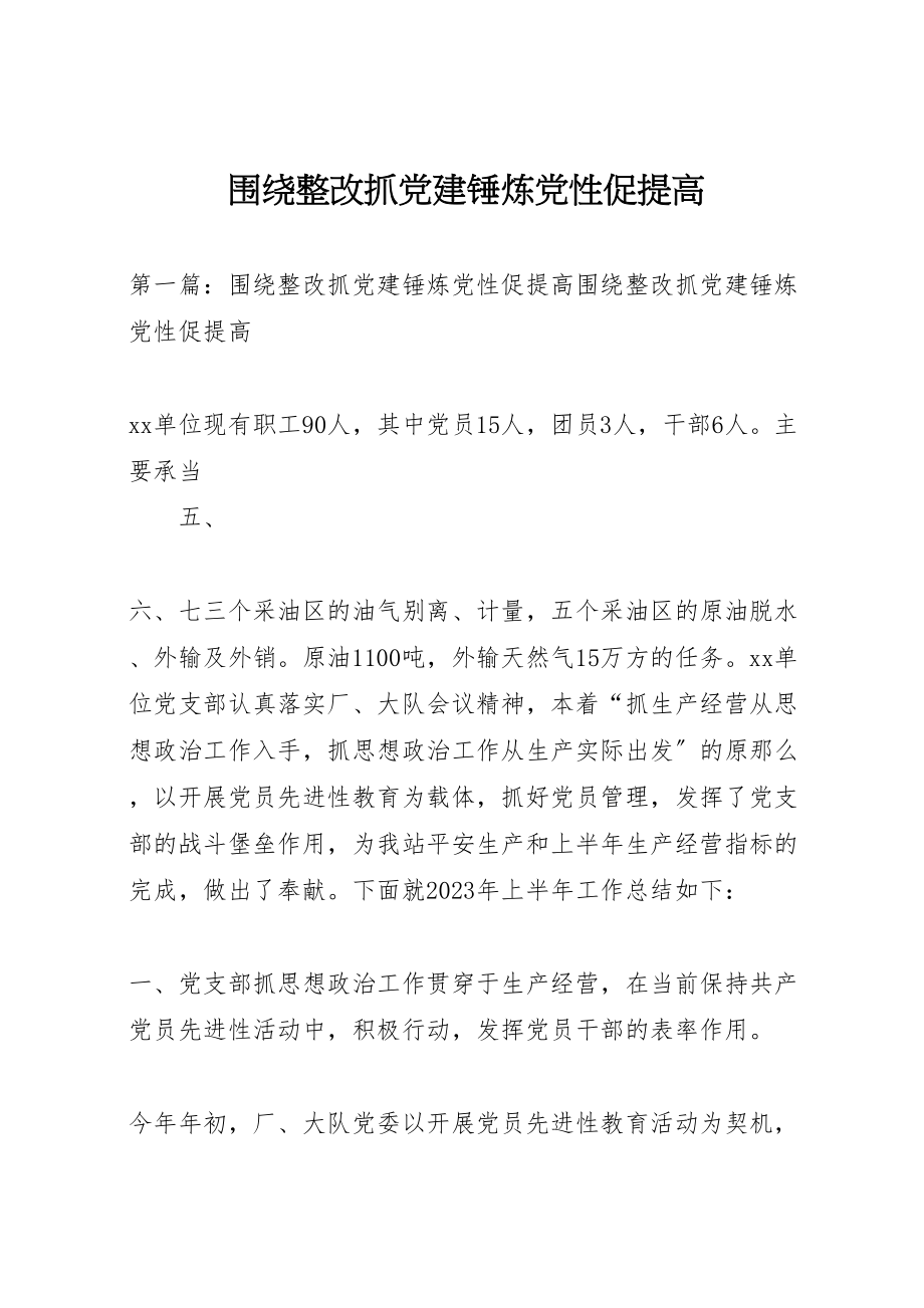 2023年围绕整改抓党建锤炼党性促提高.doc_第1页