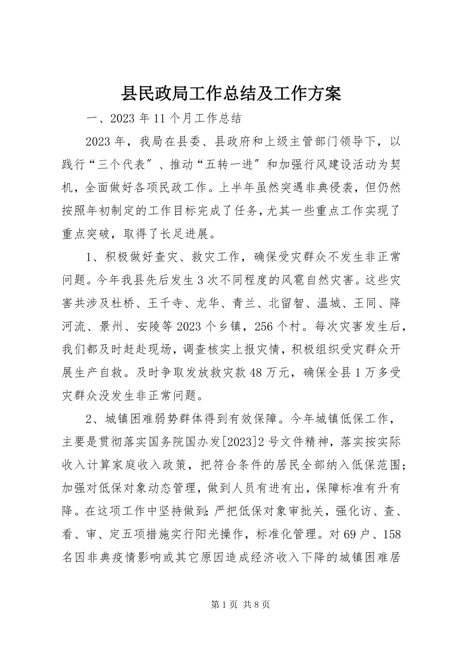 2023年县民政局工作总结及工作计划.docx_第1页