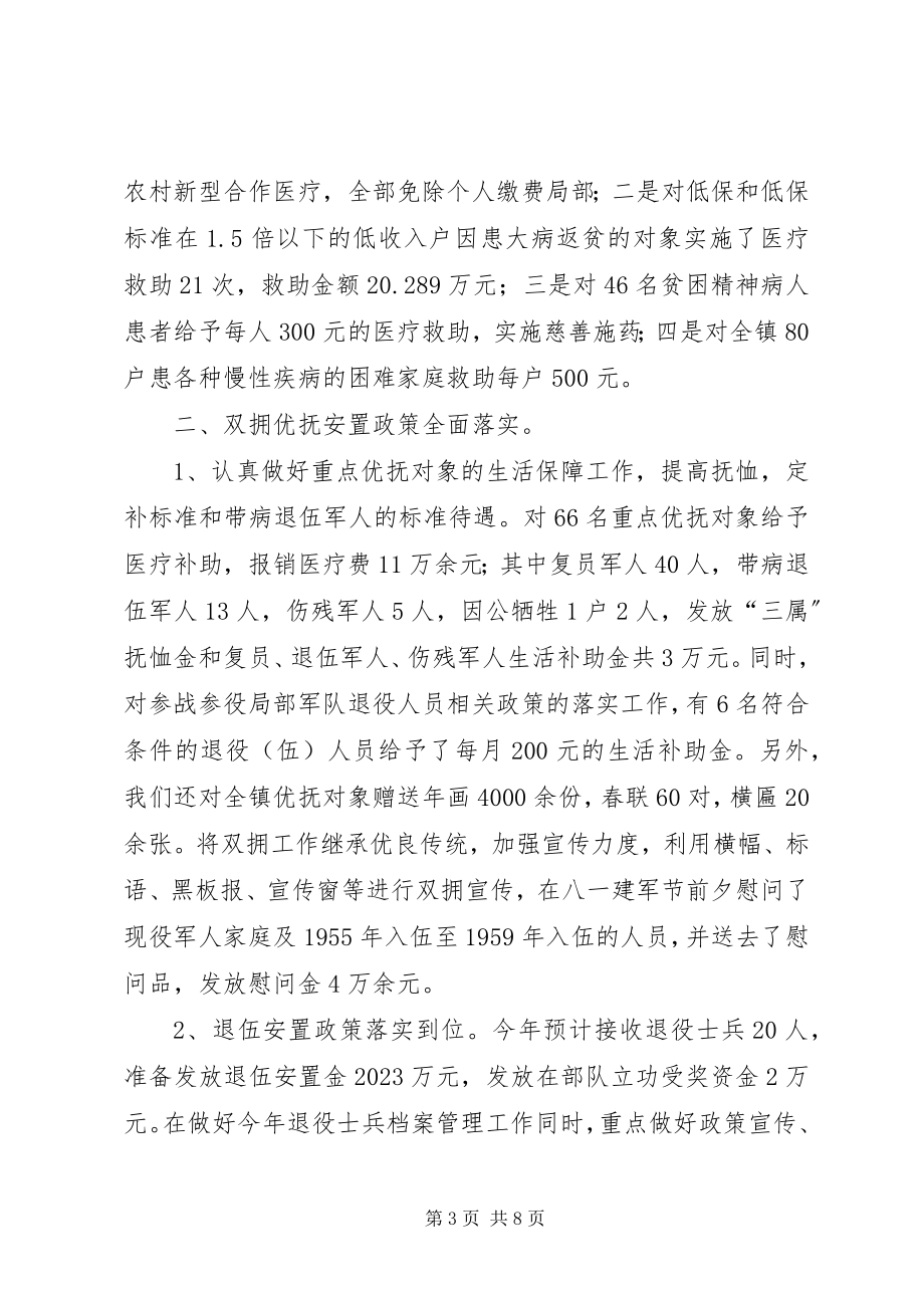 2023年社会事务全年工作汇报.docx_第3页