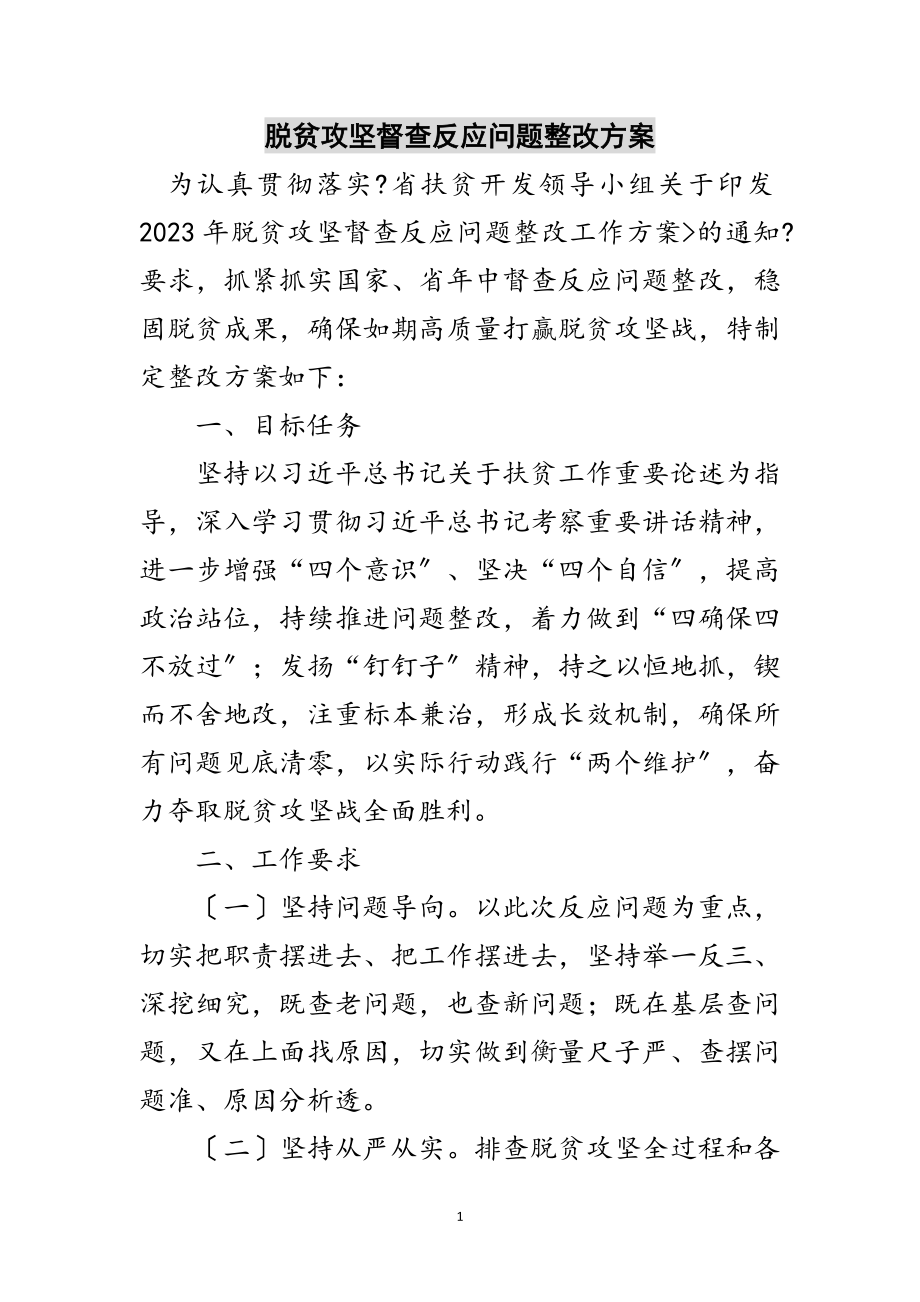 2023年脱贫攻坚督查反馈问题整改方案范文.doc_第1页