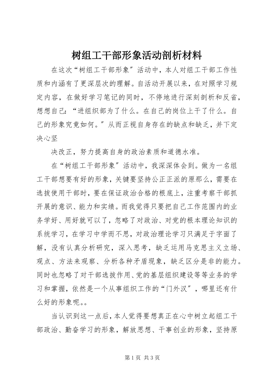 2023年树组工干部形象活动剖析材料.docx_第1页