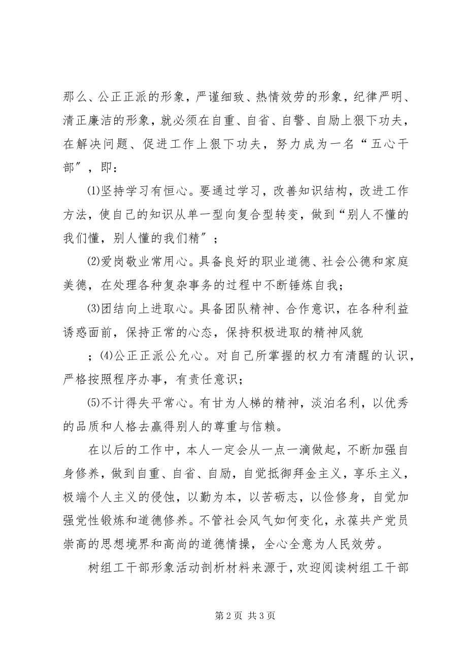 2023年树组工干部形象活动剖析材料.docx_第2页