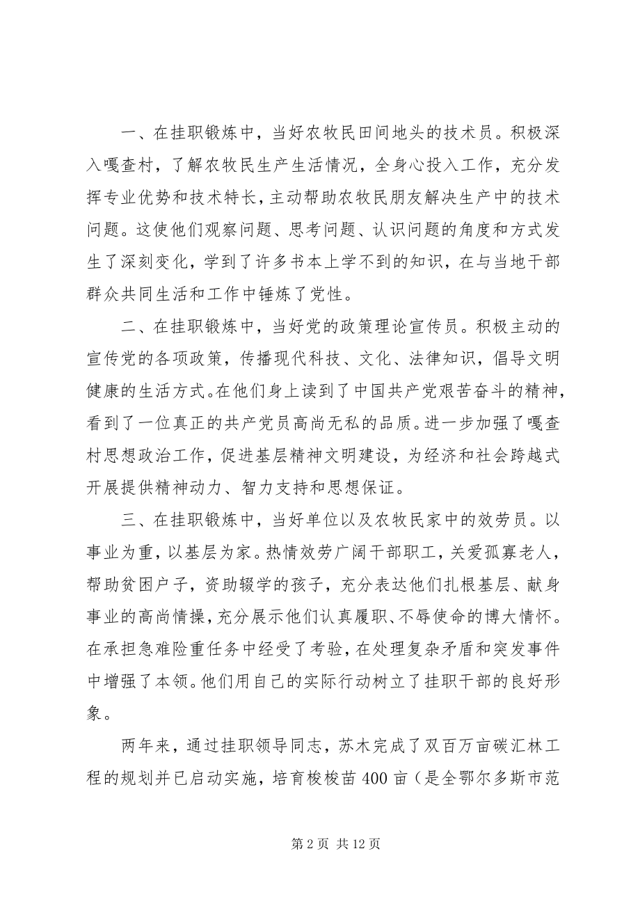 2023年挂职干部交流会致辞稿.docx_第2页