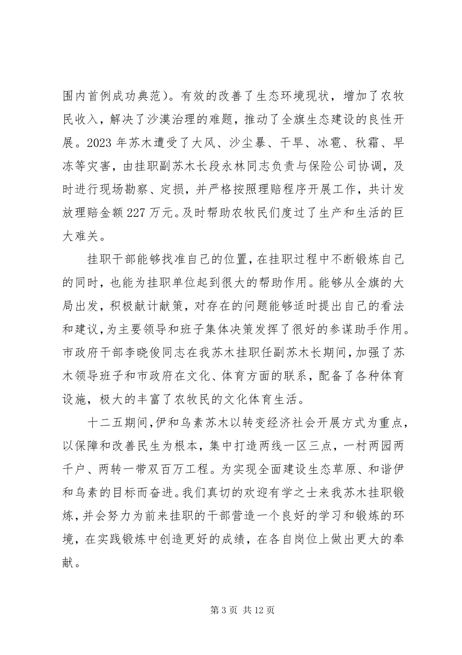 2023年挂职干部交流会致辞稿.docx_第3页