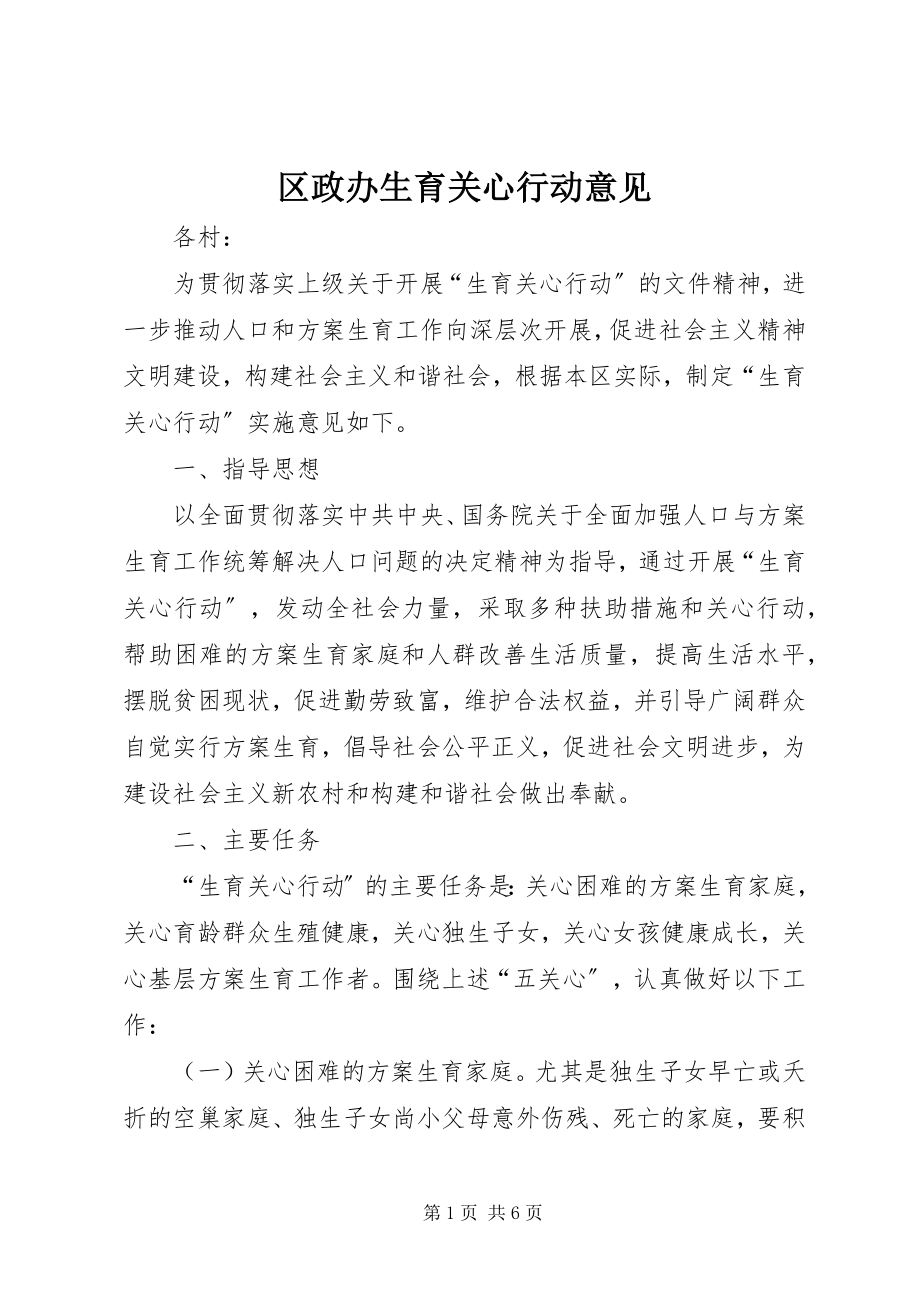 2023年区政办生育关怀行动意见.docx_第1页