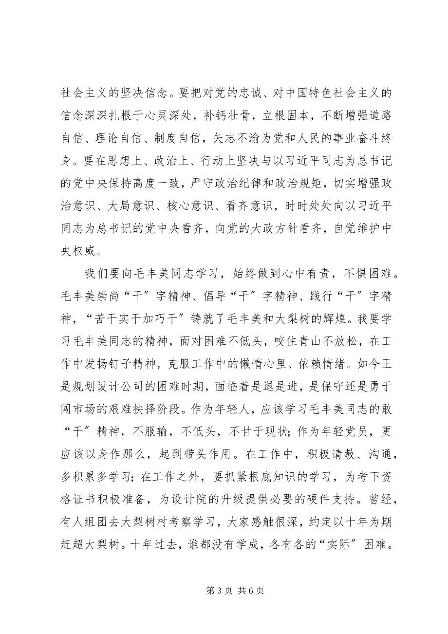 2023年参观丹东大梨树村学习毛丰美精神心得体会新编.docx_第3页