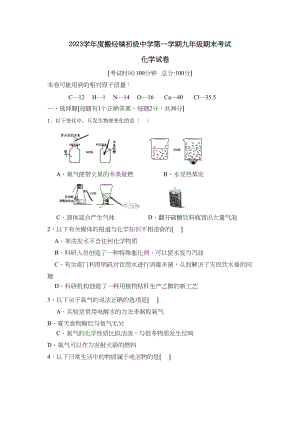 2023年度搬经镇第一学期九年级期末考试初中化学.docx