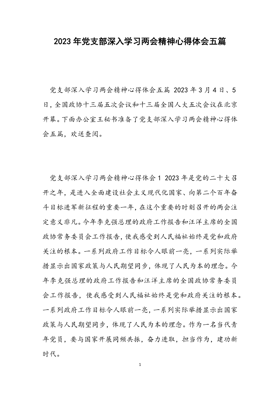 2023年党支部深入学习两会精神心得体会五篇.docx_第1页