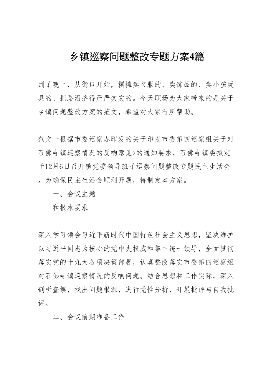 2023年乡镇巡察问题整改专题方案4篇.doc_第1页