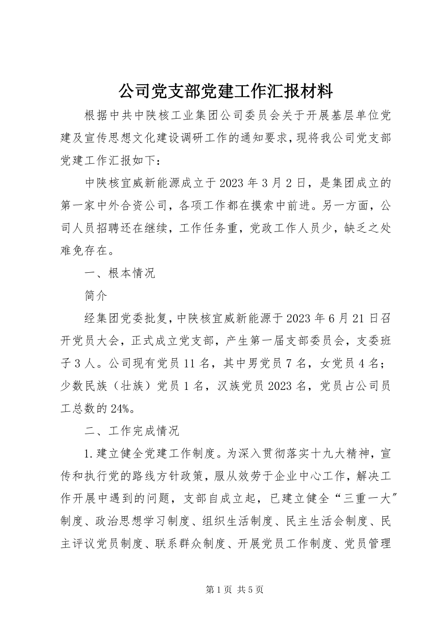 2023年公司党支部党建工作汇报材料.docx_第1页