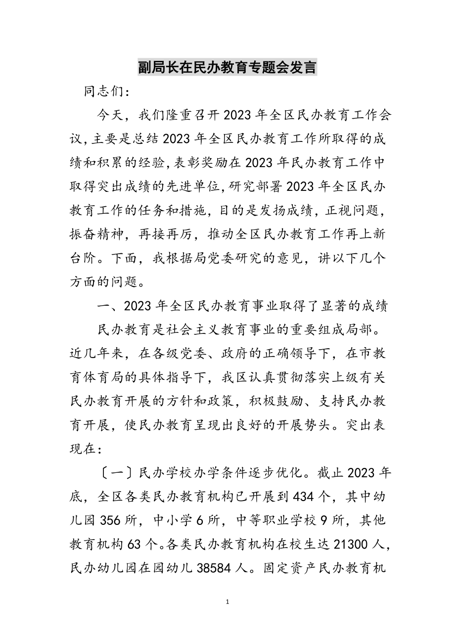 2023年副局长在民办教育专题会发言范文.doc_第1页