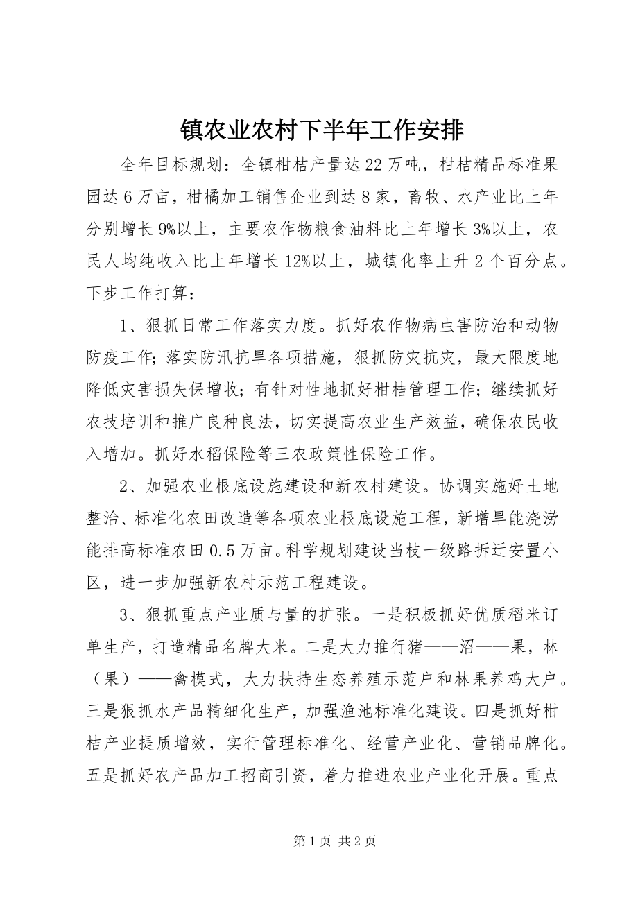 2023年镇农业农村下半年工作安排.docx_第1页