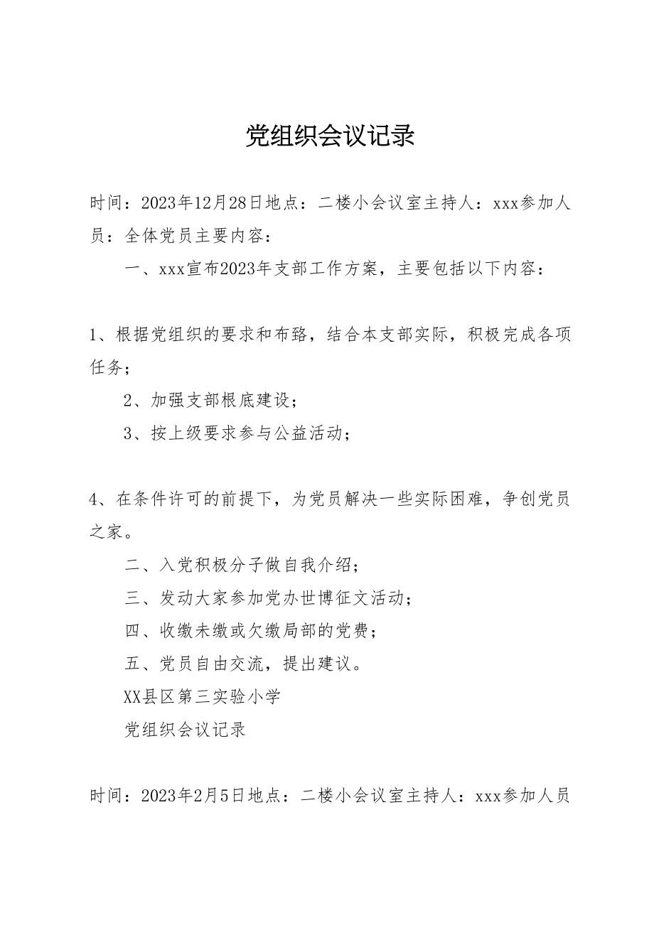 2023年党组织会议记录.doc_第1页