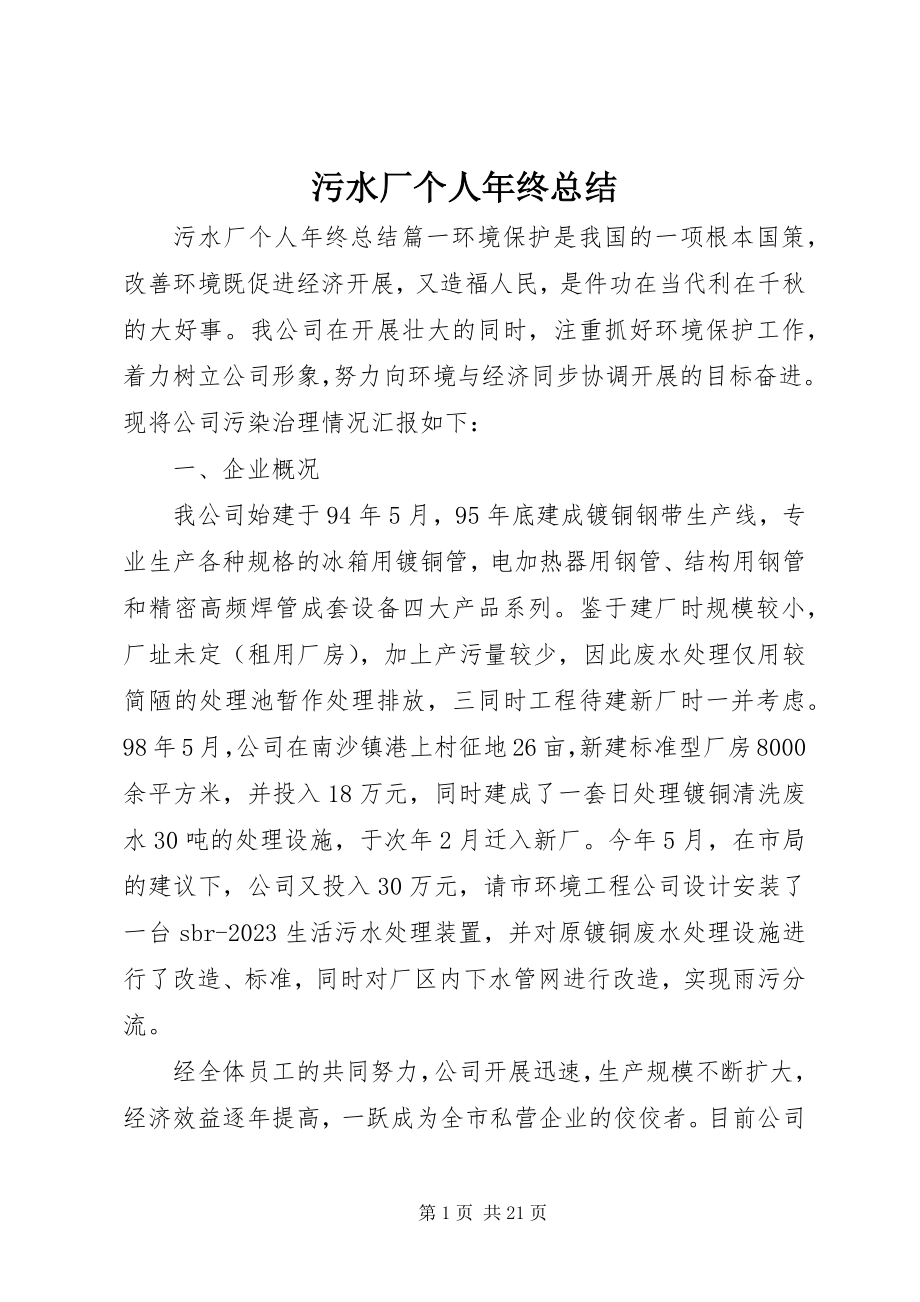 2023年污水厂个人年终总结.docx_第1页