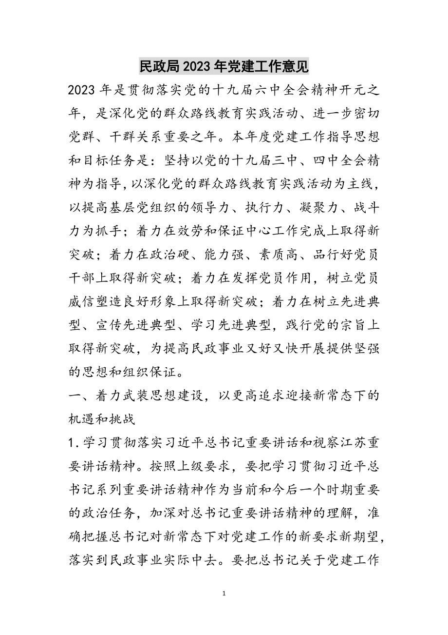 2023年民政局年党建工作意见范文.doc_第1页