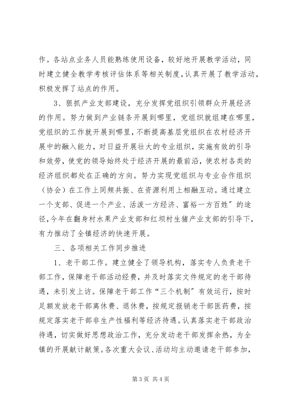 2023年乡镇党委年度组织工作总结.docx_第3页