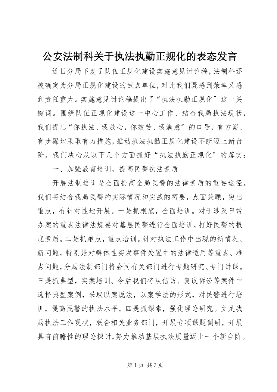 2023年公安法制科执法执勤正规化的表态讲话.docx_第1页