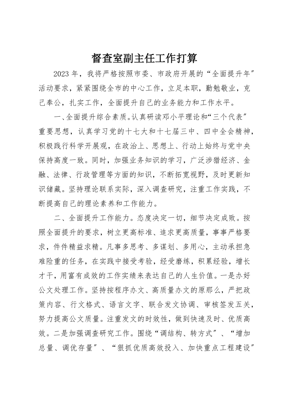 2023年督查室副主任工作打算新编.docx_第1页