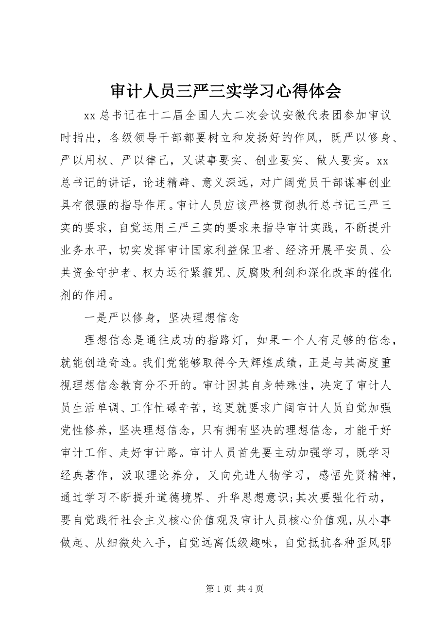 2023年审计人员三严三实学习心得体会.docx_第1页