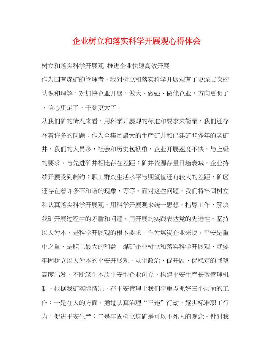 2023年企业树立和落实科学发展观心得体会.docx_第1页