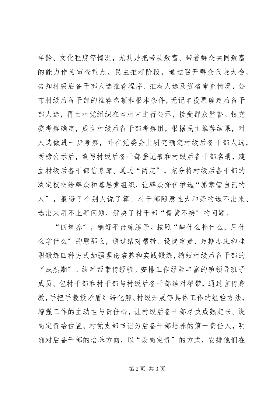 2023年培育村级后备干部经验交流材料.docx_第2页