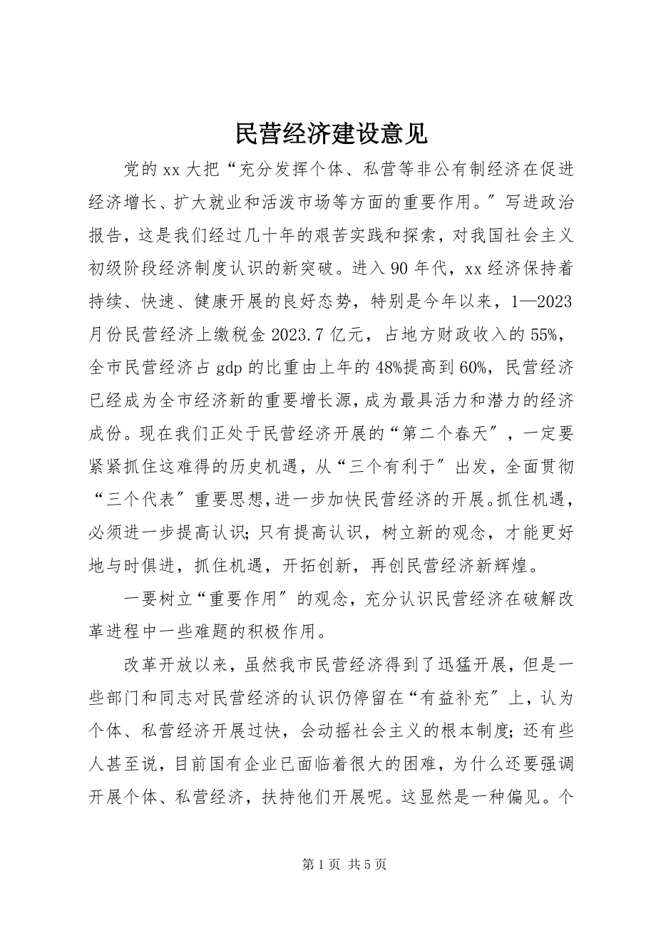 2023年民营经济建设意见.docx_第1页