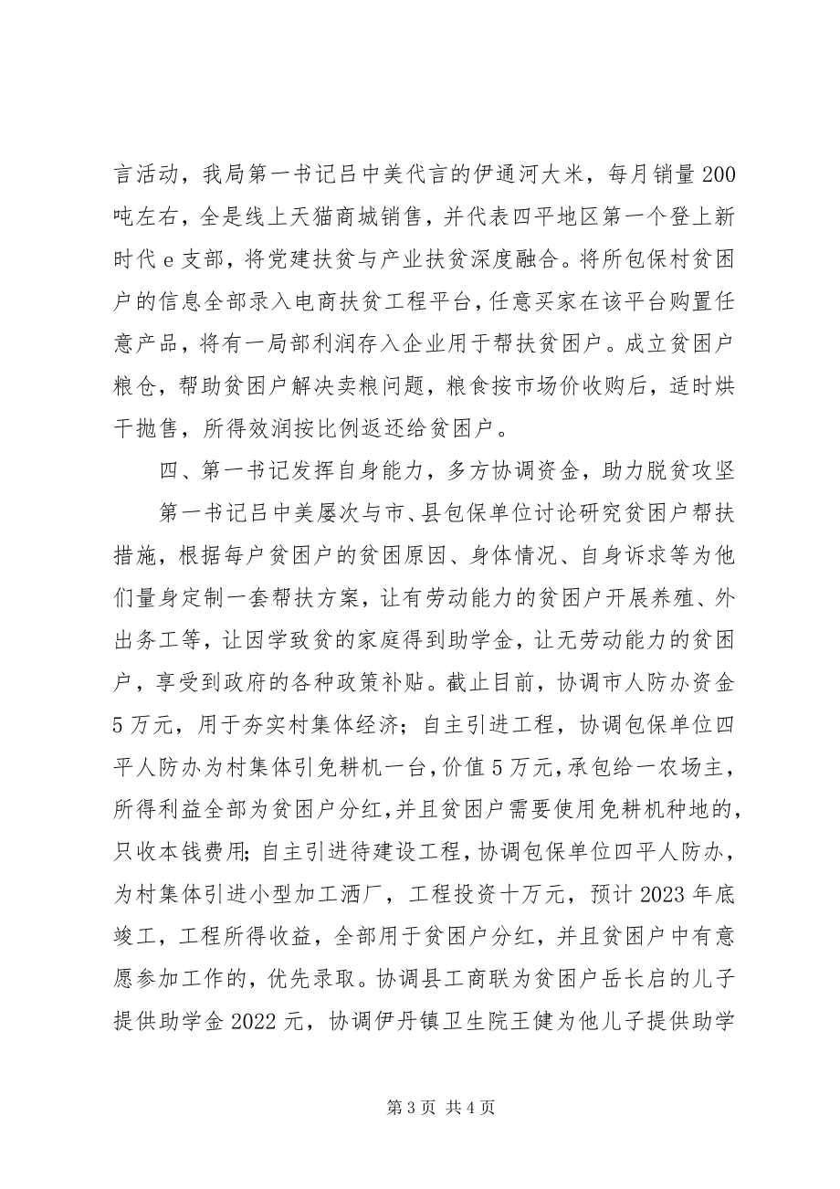 2023年助力脱贫攻坚第一书记先进事迹材料.docx_第3页