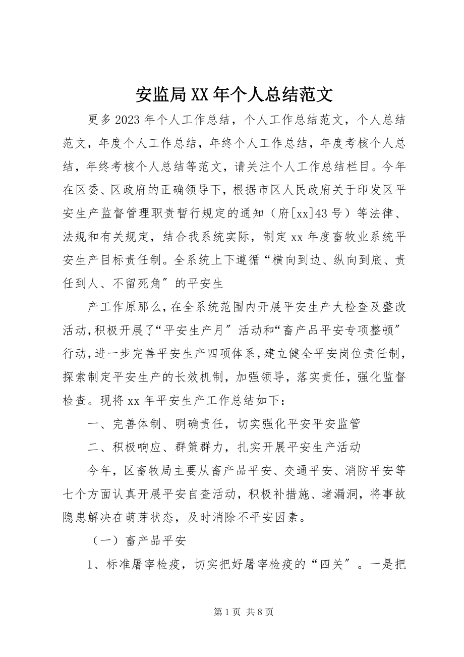 2023年安监局个人总结新编.docx_第1页