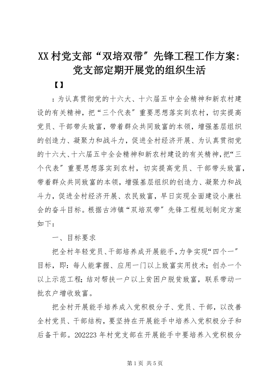 2023年XX村党支部“双培双带”先锋工程工作计划党支部定期开展党的组织生活新编.docx_第1页