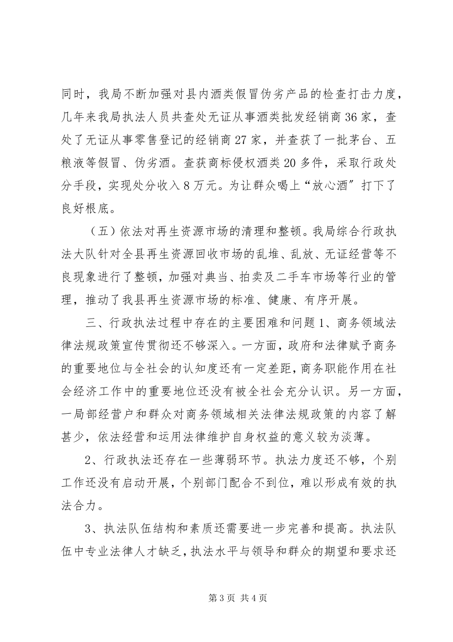 2023年商务综合行政执法大队工作情况总结.docx_第3页