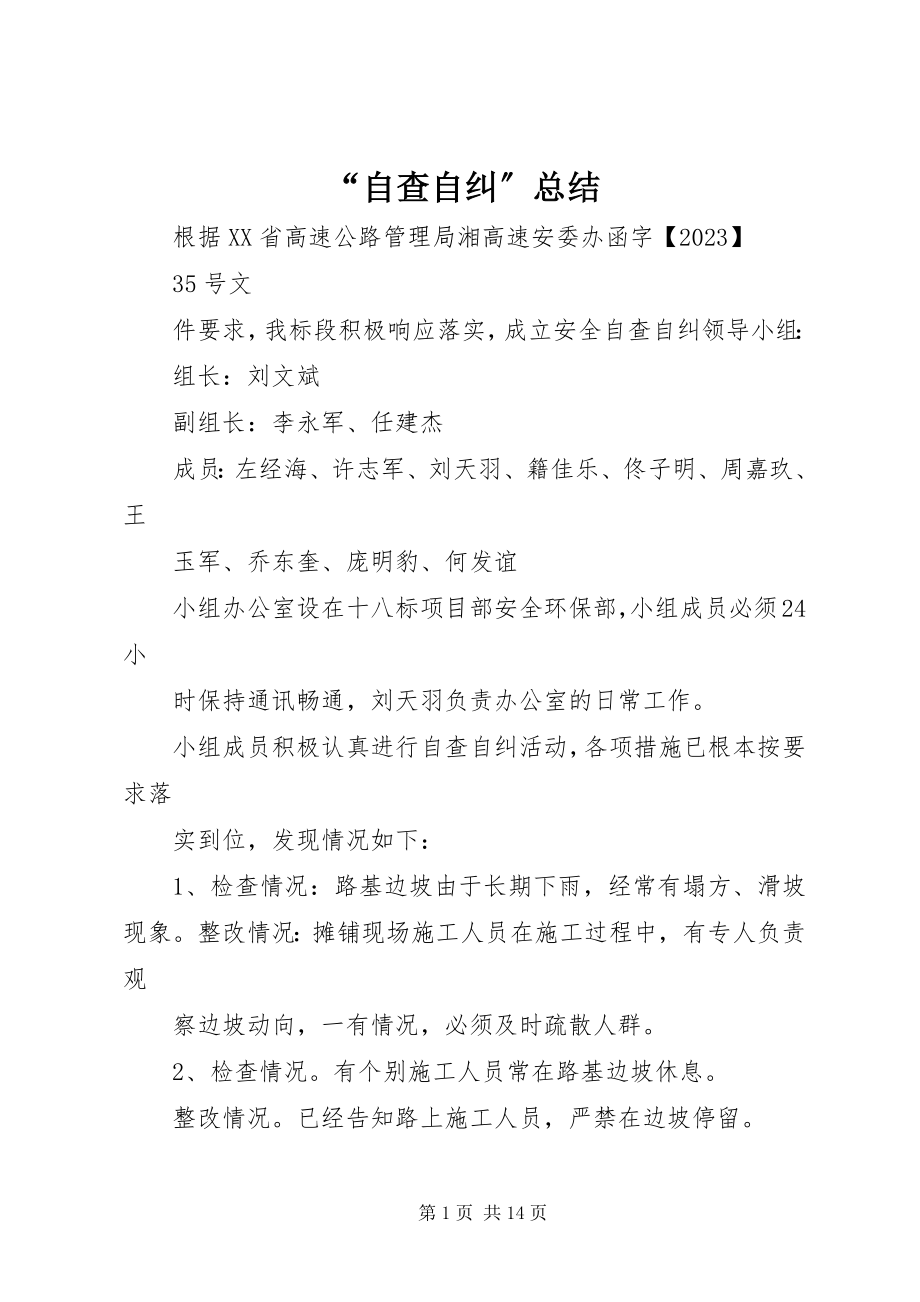 2023年自查自纠总结.docx_第1页