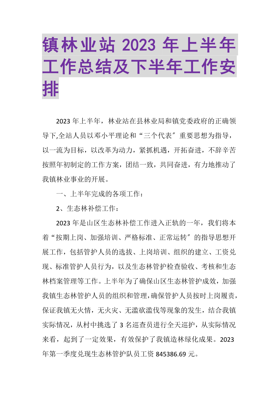 2023年镇林业站年上半年工作总结及下半年工作安排.doc_第1页