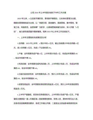 公司上半年度总结和下半年工作计划.docx