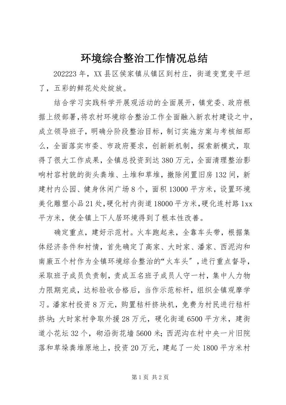 2023年环境综合整治工作情况总结.docx_第1页