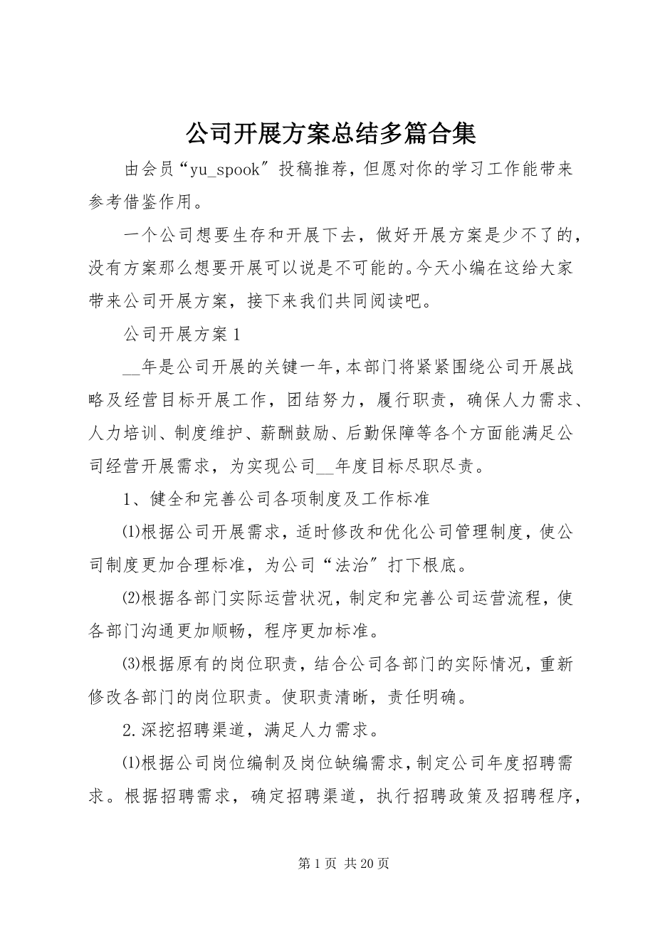 2023年公司发展计划总结多篇合集.docx_第1页