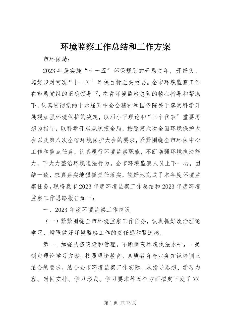 2023年环境监察工作总结和工作计划.docx_第1页